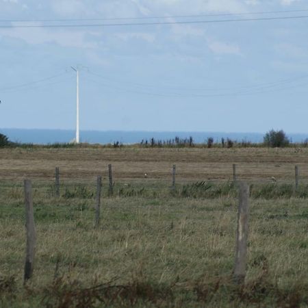 Le Tiot Gite Le Bois de Cise Eksteriør bilde