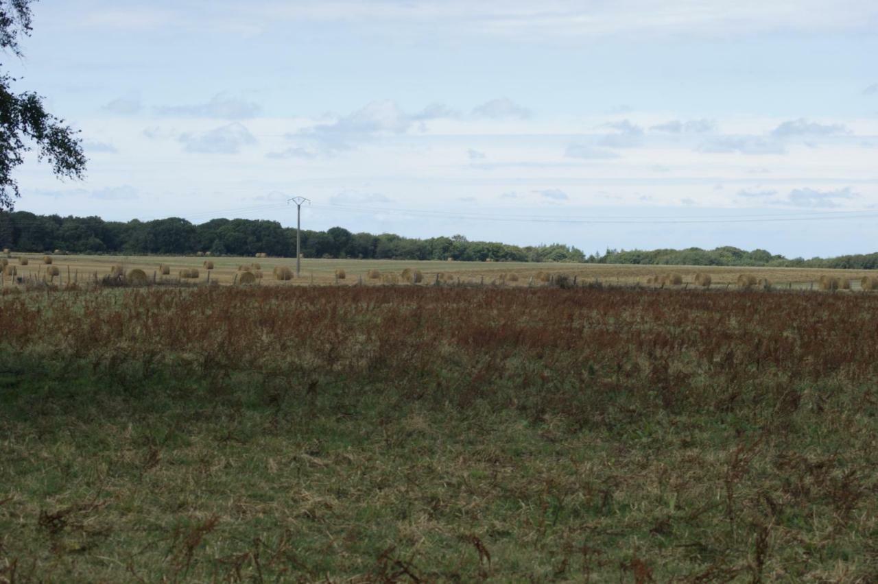 Le Tiot Gite Le Bois de Cise Eksteriør bilde